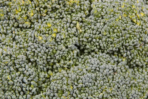 Färsk Naturliga Gröna Broccoli Som Källa Naturliga Vitaminer Och Mineraler — Stockfoto
