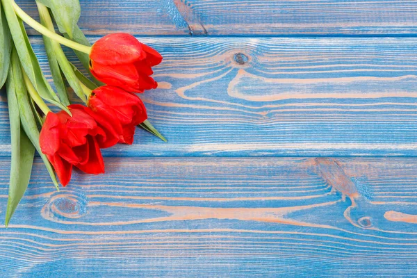 Bouquet of fresh tulips on blue boards, copy space for text — Stock Photo, Image