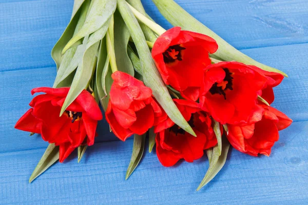 Bouquet of tulips for birthday or other celebration on blue boards — Stock Photo, Image