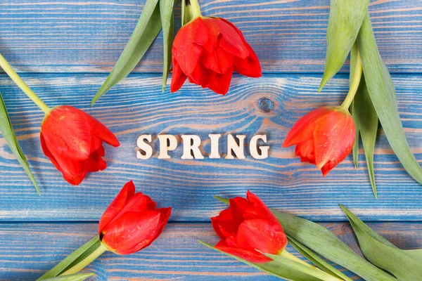 Red tulips and inscription spring on boards, springtime decoration — Stock Photo, Image