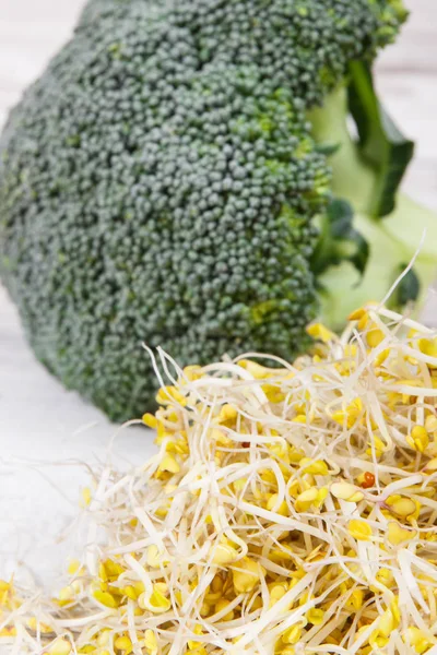 Broccoli sprouts and fresh vegetable as source natural vitamins and minerals. Healthy nutrition