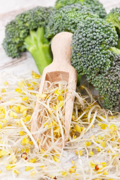 Broccoli sprouts and fresh vegetable containing natural vitamins and minerals. Healthy lifestyles and nutrition