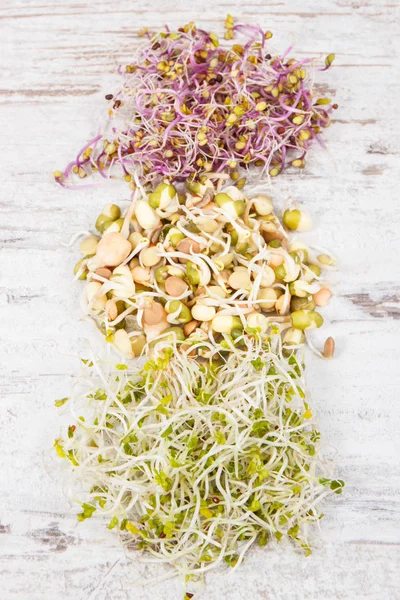 Different types of healthy sprouts containing vitamins and minerals — Stock Photo, Image