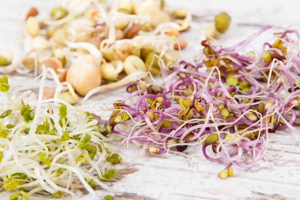 Different types of healthy sprouts containing vitamins and minerals — Stock Photo, Image