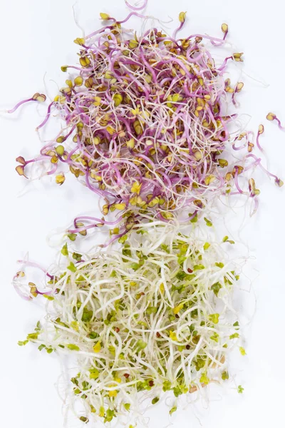 新鲜健康的芽。含有天然维生素和矿物质的食物 — 图库照片
