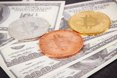 Kripto para birimi ve yeni sanal para olarak dolar ve bitcoin, uluslararası ağ ödeme konsepti