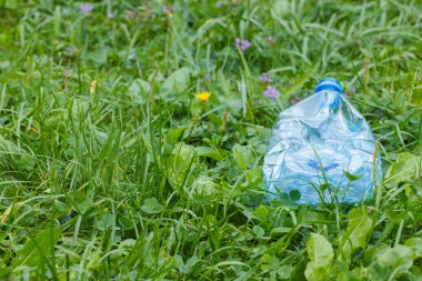 Plastik şişe maden suyu Park, çimlerin üzerine çevre çöp