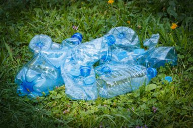 Şişe maden suyu Park, çimlerin üzerine çevre çöp