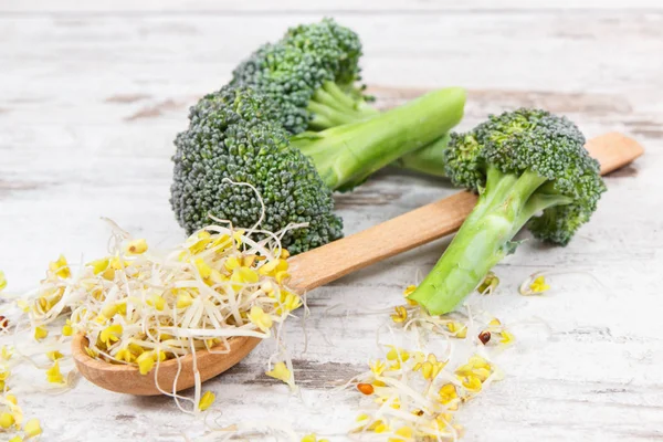 Fresh healthy broccoli sprouts as source natural vitamins and minerals