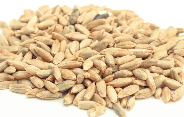 Centeio ou grãos de trigo sobre fundo branco — Fotografia de Stock