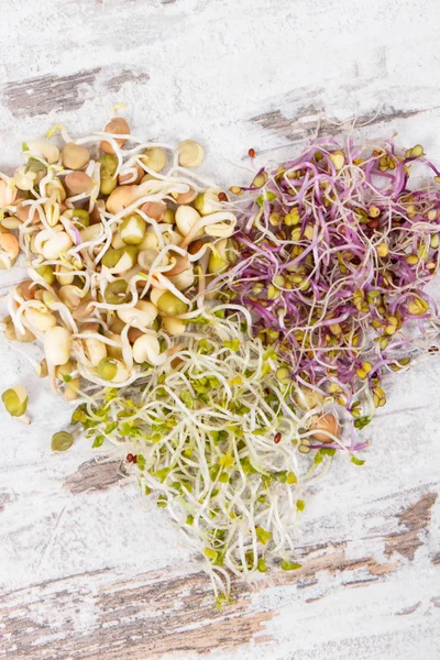 Nutritious different sprouts as source vitamins and minerals. Healthy nutrition — Stock Photo, Image