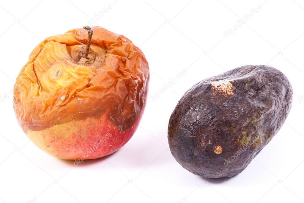 Old moldy apple and avocado on white background, unhealthy and disgusting fruit