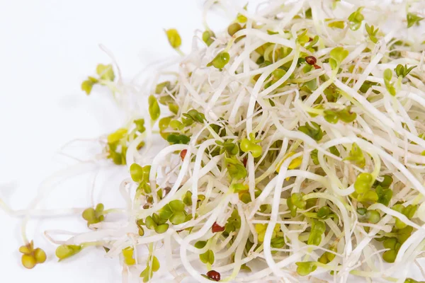 Healthy alfalfa sprouts containing vitamins and minerals — Stock Photo, Image