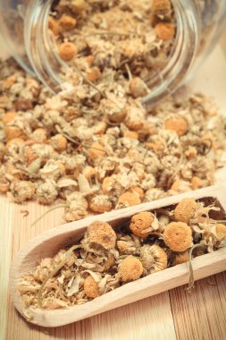 Alternatif tıpta cam kavanozda kurutulmuş papatya