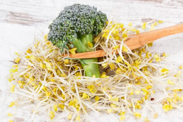 Broccoli sprouts and fresh vegetable containing natural vitamins and minerals. Healthy lifestyles and nutrition