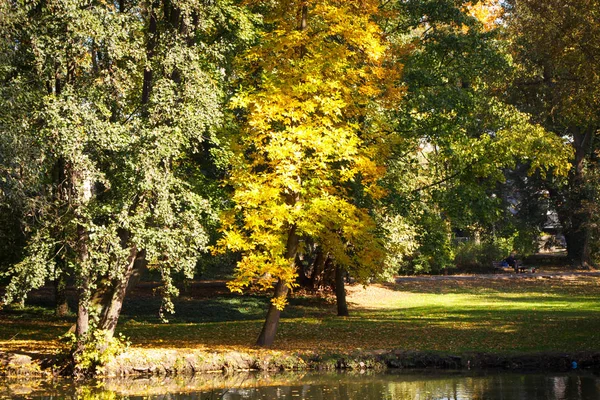 Vista de árboles con hojas coloridas y lago en el parque otoñal — Foto de Stock