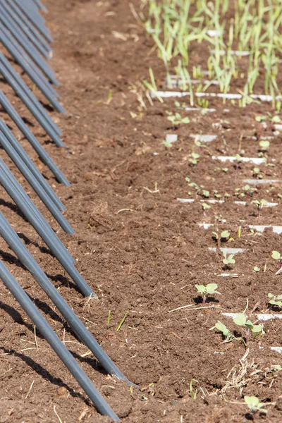 Erpice rotativo agricolo su terreno coltivato. Tecnologia moderna nel concetto di agricoltura — Foto Stock
