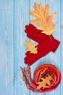 Sonbahar yaprakları, eldiven ler ve kadın için şal. Metin için alan kopyalama