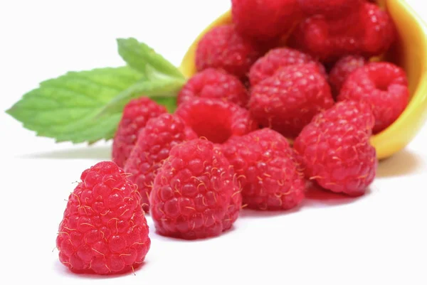 Fresh healthy raspberries as delicious dessert containing minerals — Stock Photo, Image