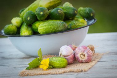 Salatalık kase ve güneşli Bahçe Sarımsak