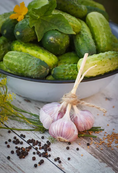 Cucumbers in metal bowl and spices for pickling cucumbers — Stock Photo, Image