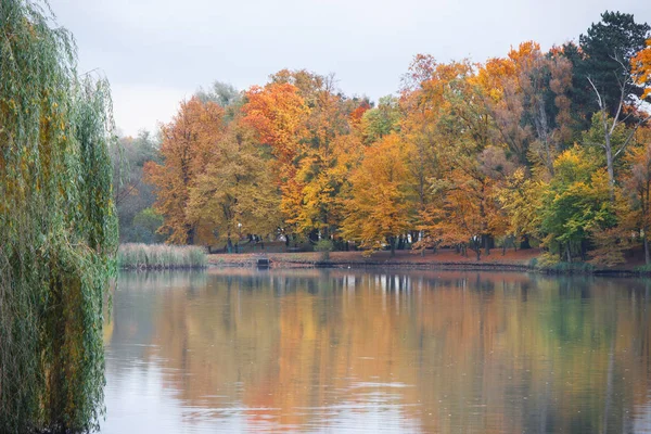 Feuilles colorées sur les arbres dans le parc automnal — Photo