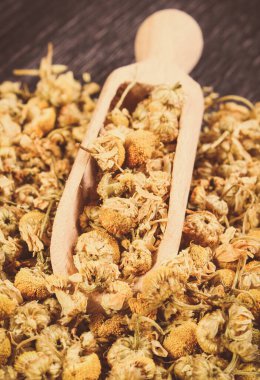 İçinde ahşap kepçeyle kurumuş papatya çayı yığını. Alternatif tıp ve bitki bilimi