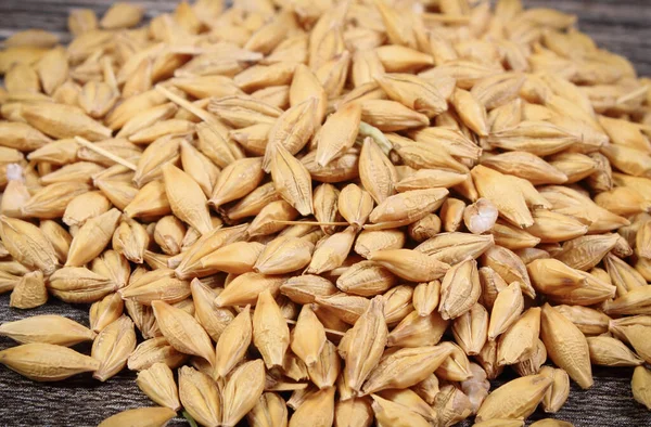 古い板に有機大麦の穀物のヒープ — ストック写真