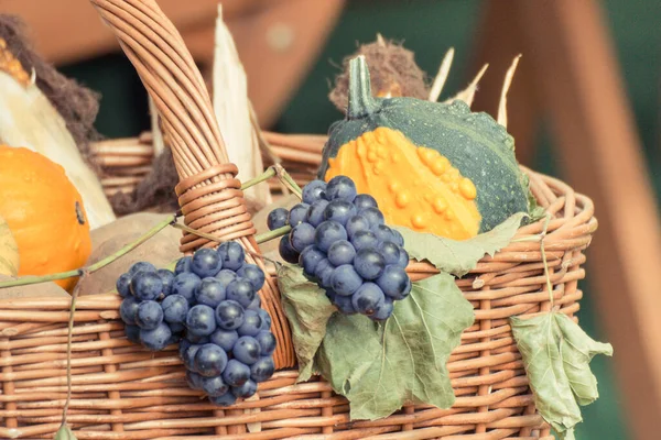 柳条筐 带有用装饰南瓜和水果制成的季节性收获装饰 — 图库照片