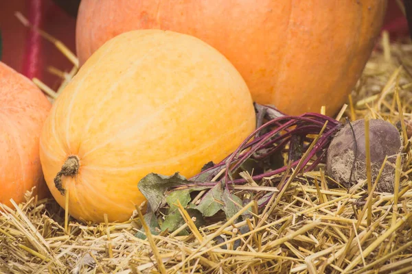 Decoraciones Cosecha Estacional Hechas Calabaza Verduras Heno Foto Vintage —  Fotos de Stock