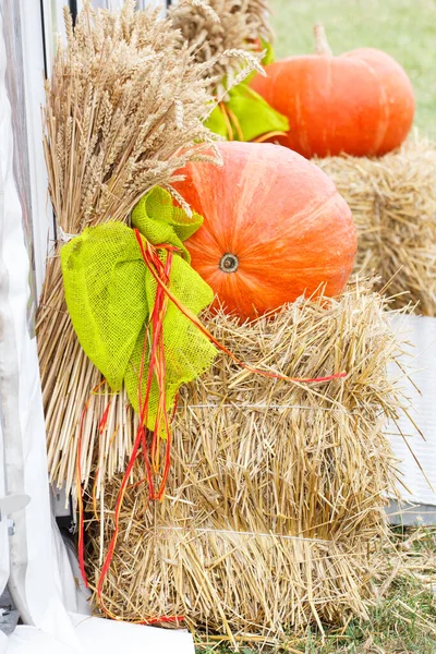 Decoraciones Cosecha Estacional Hechas Calabaza Espigas Centeno Trigo —  Fotos de Stock