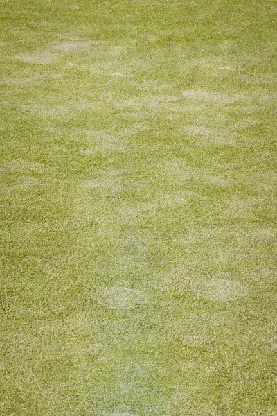 Baloncesto Fútbol Balonmano Fuera Cancha Estilos Vida Deportivos — Foto de Stock