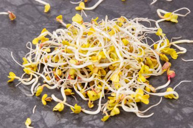 Bir yığın taze turp filizi, sağlıklı beslenme konsepti.