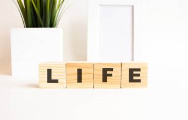 Beyaz bir masanın üzerinde harfler olan tahta küpler. Fotoğraf çerçevesi ve ev bitkisi olan beyaz arkaplan.