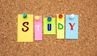 Mantar panoya yapıştırılmış harflerle çok renkli notlar.