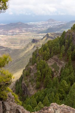 Çam ormanlarının ve dağların havadan görünüşü