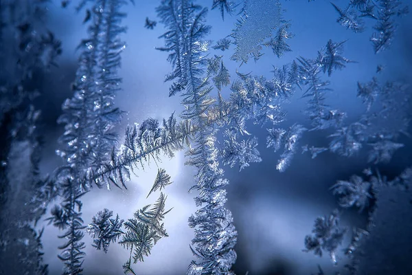 Patrones Vidrio Dibujos Helados Invierno Una Ventana Fondo Azul Dibujos — Foto de Stock