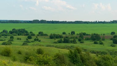 Yazın Rusya 'nın iç kesimlerinde tarlalar