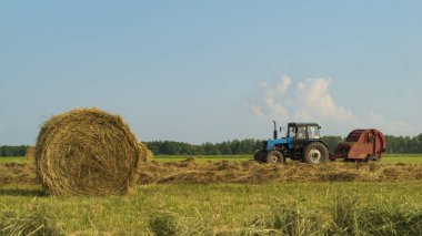 Tarlada saman topluyorum.