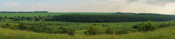 Fields Summer Russian Hinterland — Stock Photo, Image