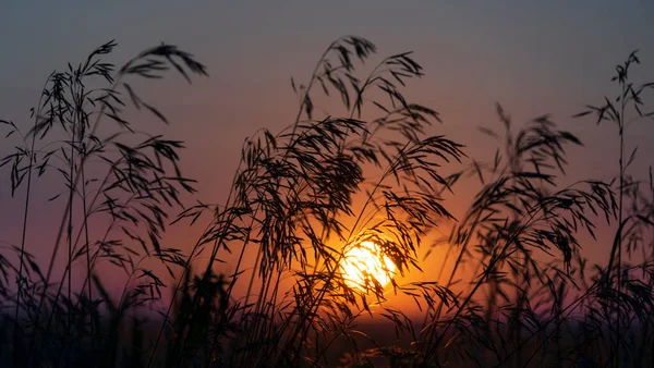 Pôr Sol Campo Fazenda — Fotografia de Stock