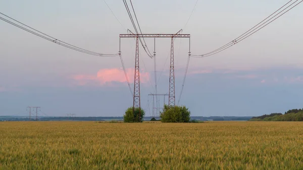 Gün batımında tarladaki elektrik hatları