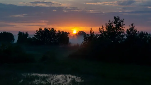 Sunrise over a field in fog — Stock Photo, Image