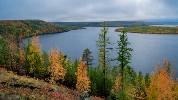 Automne nature sur les rives de la Viluy par temps nuageux. — Photo