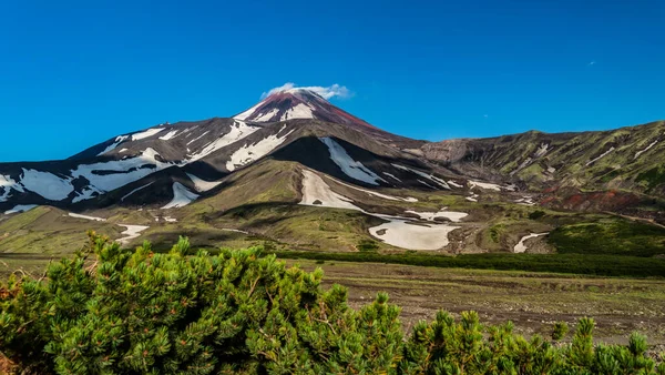 캄차카. 러시아 극동의 아바친스키 화산이다. 여름 — 스톡 사진