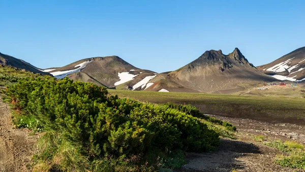 Kamchatka. Extrusão de camelos aos pés dos vulcões Avachinsky e Koryak, no passo Avachinsky — Fotografia de Stock