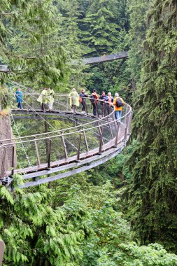 Vancouver - 29 Haziran 2011: Ziyaretçiler keşfetmek Vancouver'ın Capilano Cliff yürümek-den geçerek yağmur ormanları bitki örtüsü, granit uçurum çıkık bir dirsekli ve askıya alınan geçit yüz 230 metre yukarıda Capilano nehrinin.