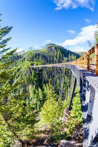 Originally One Wooden Railway Trestle Bridges Built Early 1900S Myra — Stock Photo, Image