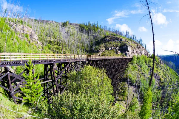 Původně Železniční Dřevěné Žebříčky Mosty Postavené Časném 1900S Myra Kaňonu — Stock fotografie