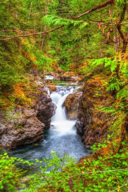 Küçük Qualicum Falls (alt falls) Qualicum Beach ve Parksville Vancouver Island, Amerika Birleşik Devletleri.